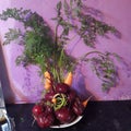 Beautiful vegetable table setting from beets and carrots display on sale