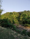 Beautiful vegetation along the beautiful highway is the natural scenery of beautiful Bangladesh