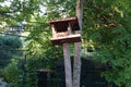 Bird feeder at Berliners` recreation area in July. Berlin, Germany