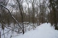 Outdoor sports in snowy winter. Berlin, Germany Royalty Free Stock Photo