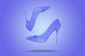 Beautiful velvet high heels fashion female style isolated on background Royalty Free Stock Photo