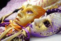 Beautiful Venetian carnival masks Royalty Free Stock Photo