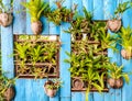 Beautiful vertical garden