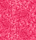 Beautiful vertical seamless background with pink dahlia.