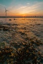 Beautiful vertical shot of a beach with an electrical windmill under a bright sunset sky