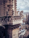 Beautiful vertical shot of the gargoyles on top of the Notre Dame Cathedral Royalty Free Stock Photo