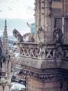 Beautiful vertical shot of the gargoyles on top of the Notre Dame Cathedral Royalty Free Stock Photo