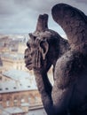 Beautiful vertical shot of the gargoyles on top of the Notre Dame Cathedral Royalty Free Stock Photo