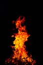 Beautiful vertical shot of a large burning fire at night Royalty Free Stock Photo