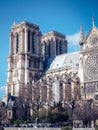 Beautiful vertical shot of the Notre Dame Cathedral on a bright day