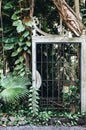 Beautiful vertical shot of an old wooden door in a forest surrounded by green plants during daytime Royalty Free Stock Photo