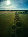 Beautiful vertical shot of a row of trees in a lush green field under the bright sun Royalty Free Stock Photo