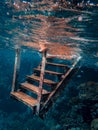Beautiful vertical shot of a rusted metal stairway under the sea