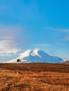 Beautiful vertical view of a landscape with wide expanses and a snow mountain peak. Contrasting silhouette of a lonely tree Royalty Free Stock Photo