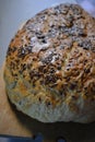 Beautiful very hearty bread homemade recipe. Brown bread with crispy crust, black caraway seeds and brown flax kernels. Royalty Free Stock Photo