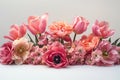 Beautiful Vibrant Assortment of Flowers Captured in Their Prime Royalty Free Stock Photo