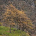 Beautiful vibrant Autumn landscape image towards Borrowdale Valley from Castle Crag in Lake Disrtrict