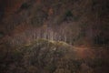 Beautiful vibrant Autumn landscape image towards Borrowdale Valley from Castle Crag in Lake Disrtrict