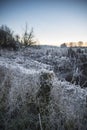 Beautiful vibrant English countryside lake image with frost and Royalty Free Stock Photo