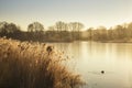 Beautiful vibrant English countryside lake image with frost and Royalty Free Stock Photo