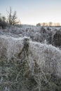 Beautiful vibrant English countryside lake image with frost and Royalty Free Stock Photo