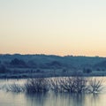 Beautiful vibrant English countryside lake image with frost and Royalty Free Stock Photo