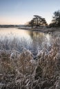 Beautiful vibrant English countryside lake image with frost and Royalty Free Stock Photo