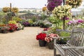 Flowers garden court with wooden bench Royalty Free Stock Photo