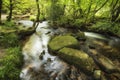 Beautiful vibrant lush landscape of Golitha Falls in Devon in Summer Royalty Free Stock Photo