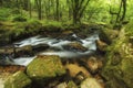 Beautiful vibrant lush landscape of Golitha Falls in Devon in Summer Royalty Free Stock Photo