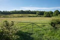 Beautiful vibrant Summer landscape image of typical English countryside Royalty Free Stock Photo