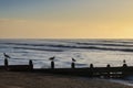 Beautiful vibrant sunrise landscape image of Worthing pier in West Sussex during Winter Royalty Free Stock Photo