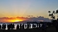 Beautiful vibrant sunset silhouette Palm trees blue sky Waikiki beach Royalty Free Stock Photo