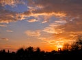 Beautiful vibrant sunset, tree silhouettes, fluffy clouds.