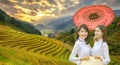 Beautiful Vietnam girls in Mu Cang Chai, landscape terraced rice field near Sapa, north Vietnam