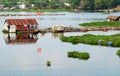 Beautiful Vietnamese fishing village on Dong Nai river, floating house, fishing tank, water hyacinth Royalty Free Stock Photo