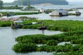 Beautiful Vietnamese fishing village on Dong Nai river, floating house, fishing tank, water hyacinth Royalty Free Stock Photo
