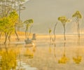 Beautiful Vietnamese scenery at a Tuyen Lam Lake in Dalat