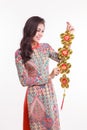 Beautiful Vietnamese woman wearing impression ao dai holding lucky decorate object Royalty Free Stock Photo