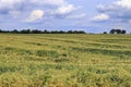 Beautiful view on agricultural crop and wheat fields on a sunny summer day found in northern Europe Royalty Free Stock Photo