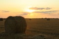 Beautiful view of agricultural field with hay bales at sunset Royalty Free Stock Photo