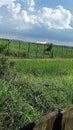 beautiful view of the airstrip before takeoff