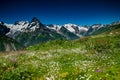 Beautiful view of alpine meadows in the Caucasus mountains Royalty Free Stock Photo