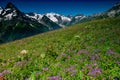 Beautiful view of alpine meadows in the Caucasus mountains Royalty Free Stock Photo
