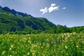 Beautiful view of alpine meadows in the Caucasus mountains Royalty Free Stock Photo