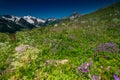 Beautiful view of alpine meadows in the Caucasus mountains Royalty Free Stock Photo