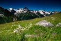 Beautiful view of alpine meadows in the Caucasus mountains Royalty Free Stock Photo