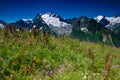 Beautiful view of alpine meadows in the Caucasus mountains Royalty Free Stock Photo