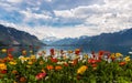 Beautiful view on the Alps Mountains and Lake Leman Royalty Free Stock Photo