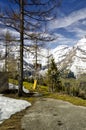 Beautiful view of Alps mountains and pine tree forest. Spring in National Park Hohe Tauern, Austria. Royalty Free Stock Photo